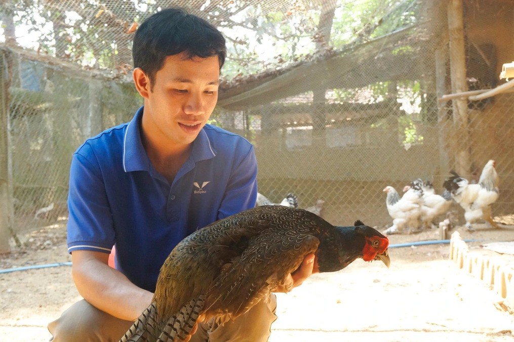 nuôi chim hoang dã