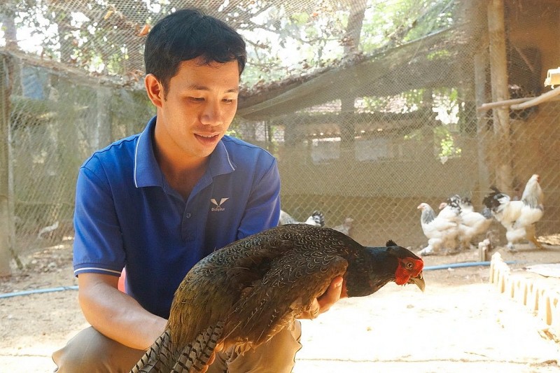 Người đàn ông nuôi chim hoang dã lãi tiền tỷ, nhận Huân chương Lao động hạng Ba