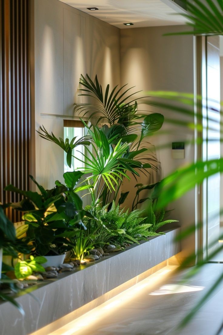Người xưa dạy: “Khí thịnh sinh tài, môn an tụ phúc” – 3 dấu hiệu vàng chứng ngôi nhà vượng khí