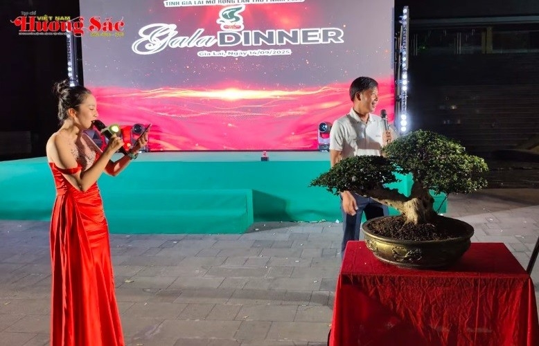 Đấu giá cây cảnh bonsai nghệ thuật tại Triển lãm Quy Nhơn, Gia Lai 2025