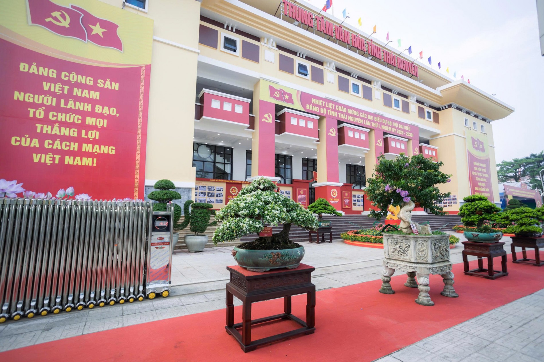 Từ hợp tác đến phát triển: Hội Đông y, Sinh vật cảnh và doanh nghiệp cùng đồng hành