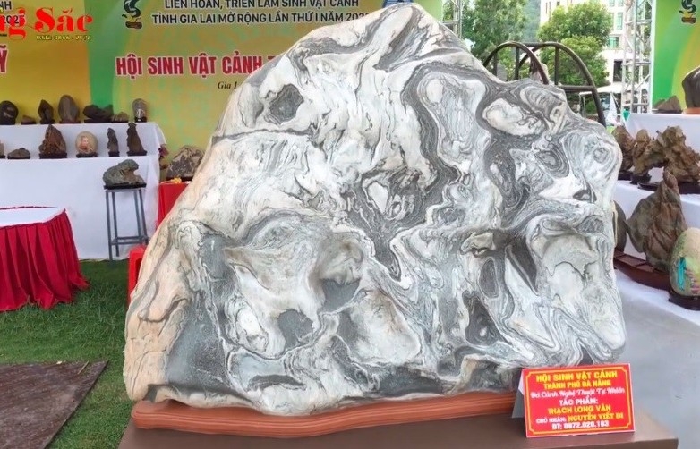 Thạch Long Vân - Tuyệt phẩm đá tự nhiên của anh Nguyễn Viết Đi