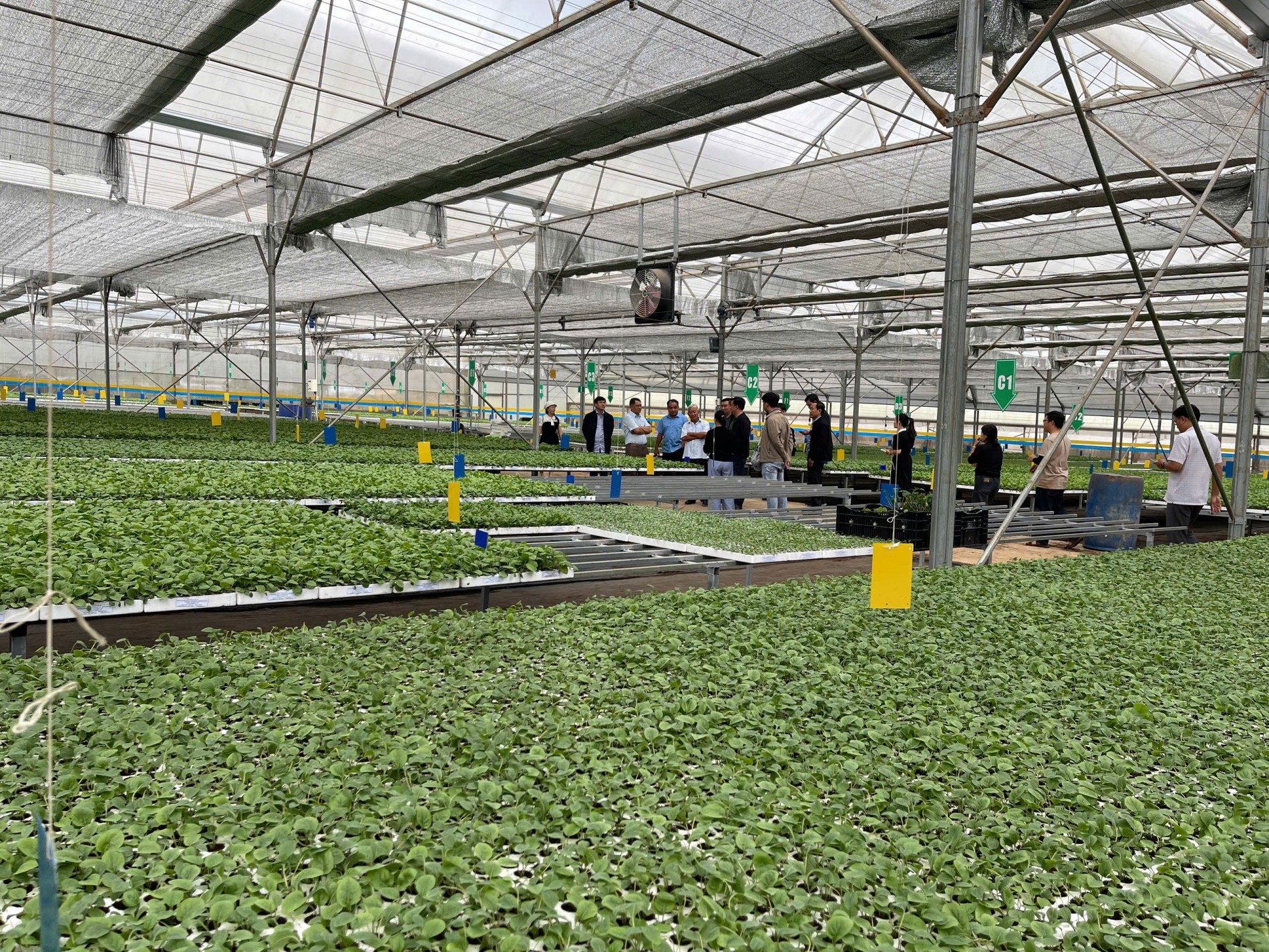 Hiệp hội Hoa Đà Lạt chia sẻ kinh nghiệm với phường Sa Đéc trước thềm Festival Hoa - Kiểng 2025
