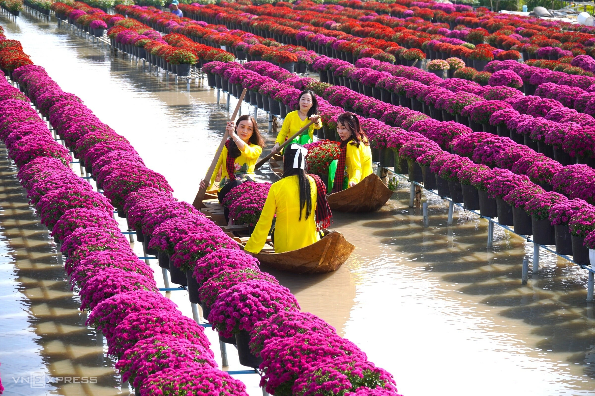 Làng hoa Sa Đéc tất bật chuẩn bị cho vụ hoa Tết và Festival Hoa – Kiểng