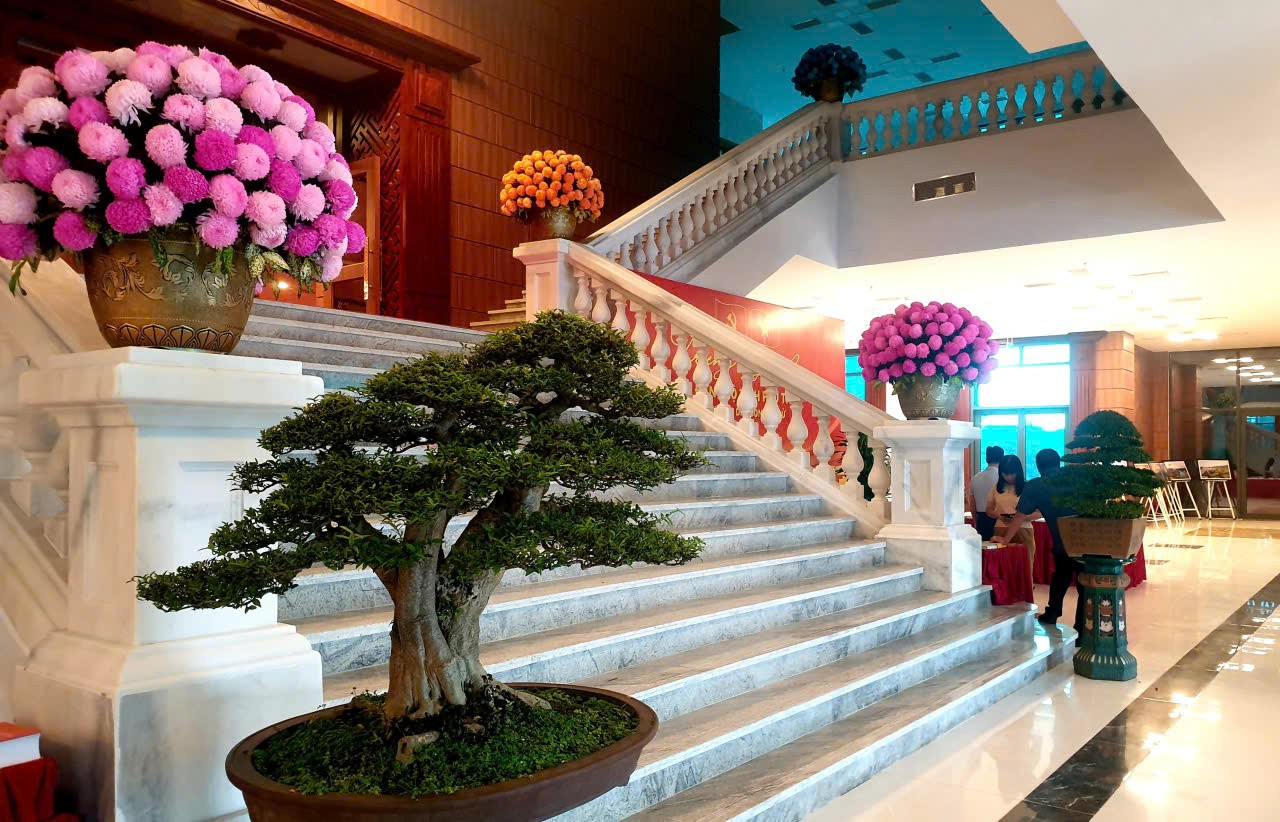 Không gian sinh vật cảnh – điểm nhấn văn hóa tại Đại hội đại biểu Đảng bộ tỉnh Phú Thọ 2025–2030