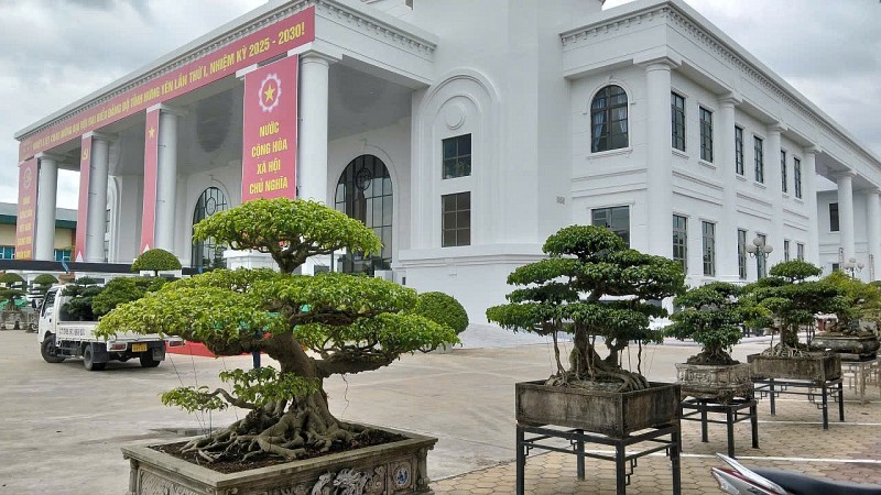 Hội Sinh vật cảnh tỉnh Hưng Yên triển lãm hoa cây cảnh chào mừng Đại hội