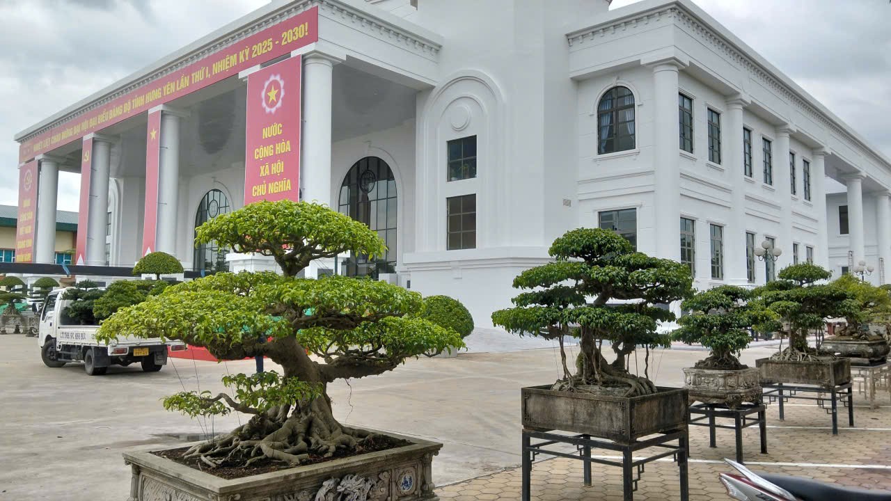 Hội Sinh vật cảnh tỉnh Hưng Yên triển lãm hoa cây cảnh chào mừng Đại hội