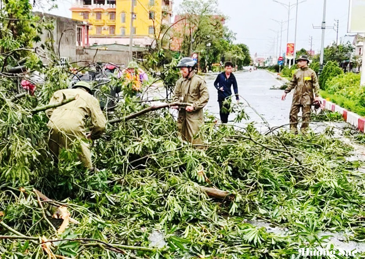 Hà Tĩnh: Bão số 10 càn quét hàng nghìn cây xanh bật gốc