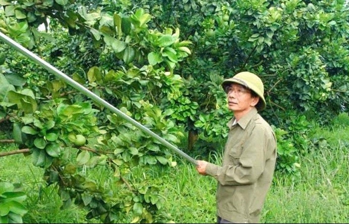 Từ thợ cơ khí nghèo đến chủ trang trại 100 ha, người đàn ông được vinh danh Nông dân Việt Nam xuất sắc 2025