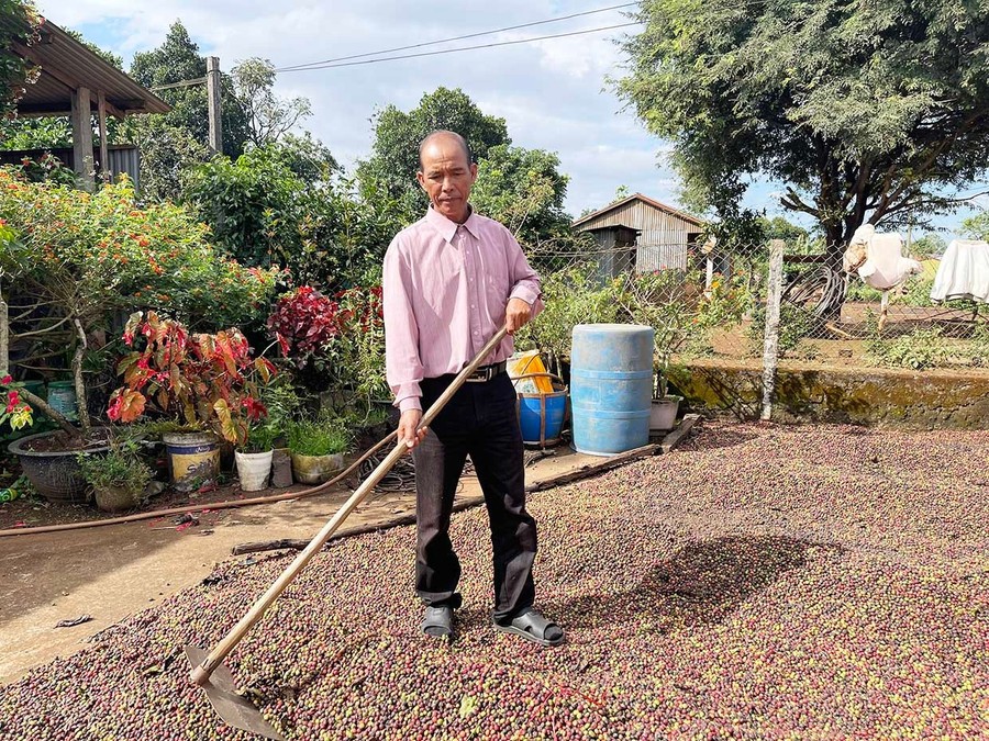 Đổi mới cách làm, nông dân Gia Lai thoát nghèo, làm giàu bền vững