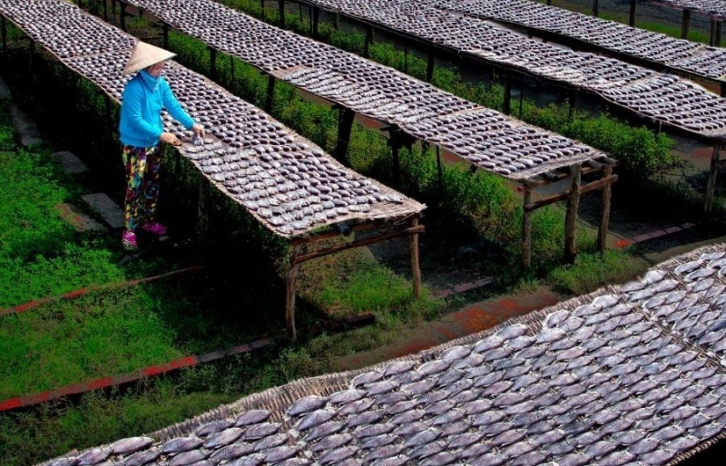 Làng nghề khô cá bổi Cà Mau – giữ nghề truyền thống, tạo sinh kế bền vững