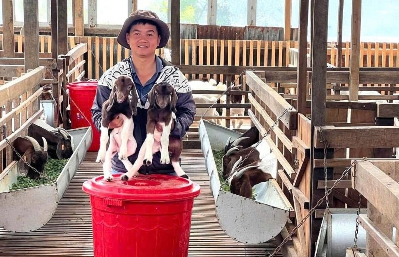 Dược sĩ trẻ về quê Lâm Đồng nuôi dê Nam Phi, thu lãi hơn 1 tỷ đồng/năm