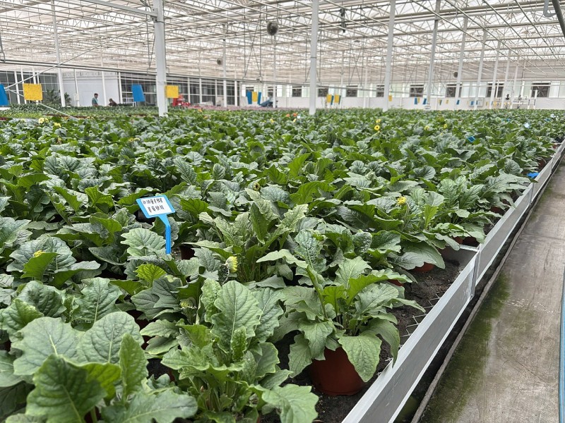 Tin khuyến nông: Đẩy mạnh chuyển đổi số trong khuyến nông - Nâng cao giá trị, kết nối chuỗi sản xuất nông nghiệp
