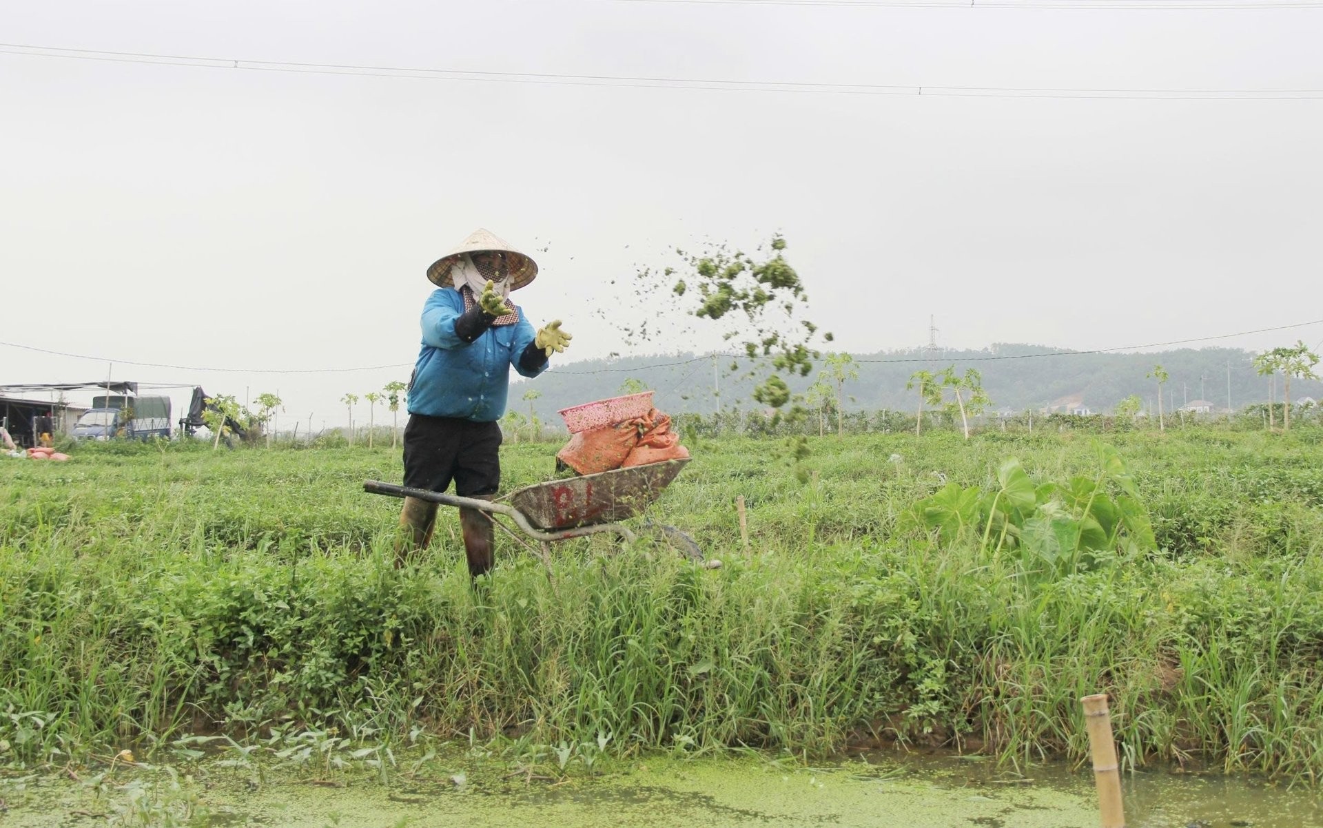 Từng trắng tay vì vỡ nợ, nông dân Nghệ An đổi đời nhờ nuôi loài đặc sản quê ai cũng biết