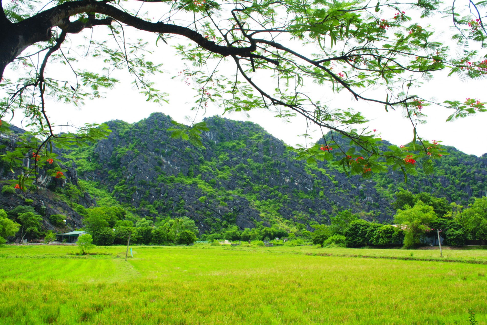 Ninh Bình - Sơn thủy hữu tình