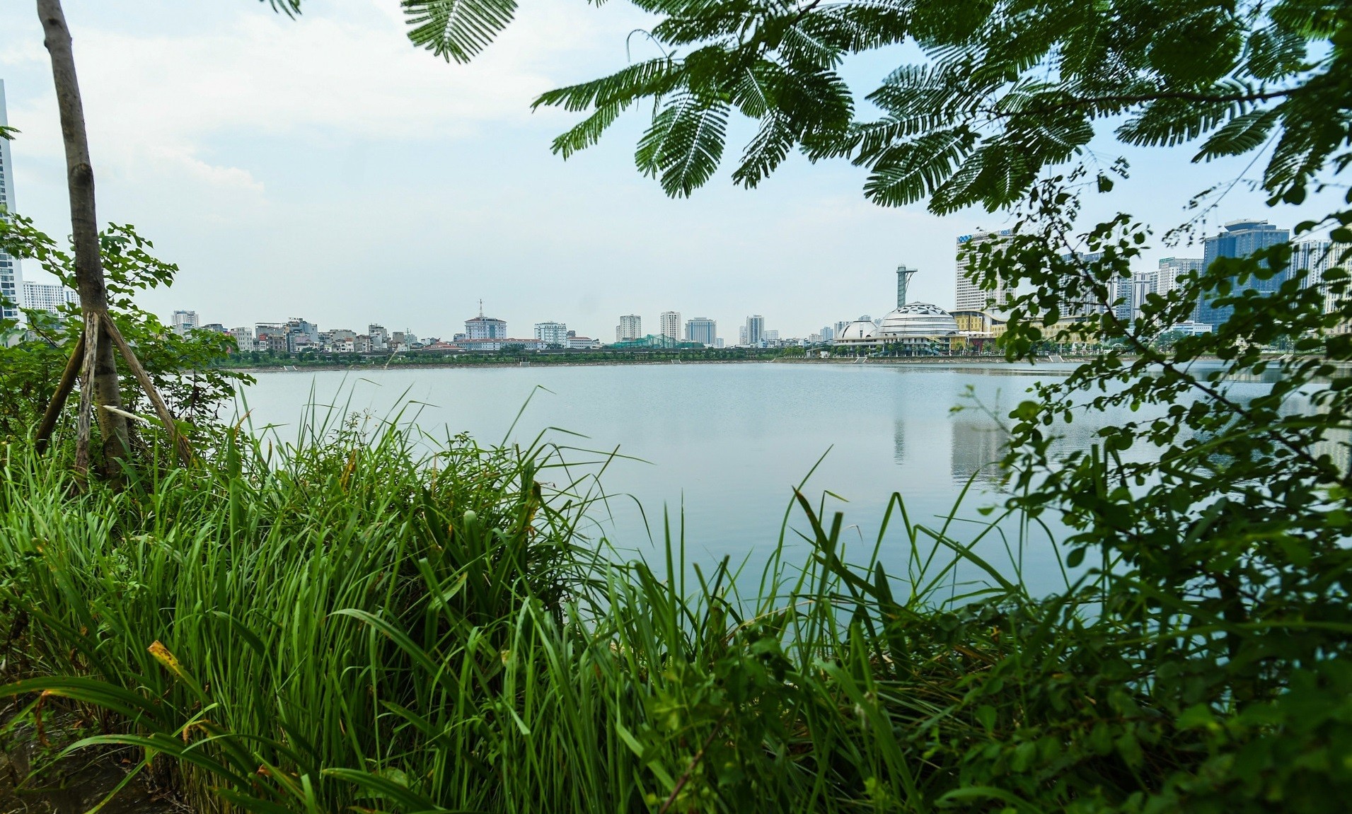 Hà Nội: Công viên hồ điều hòa Cầu Giấy 744 tỷ vắng vẻ, cỏ mọc cao hàng mét