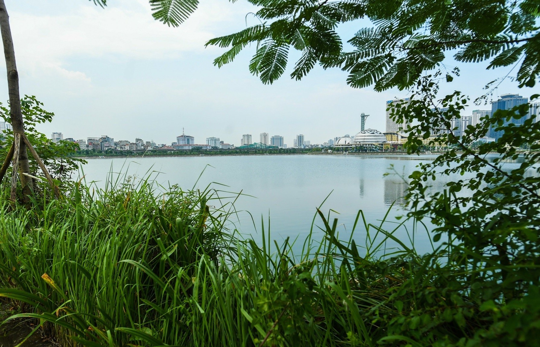 Hà Nội: Công viên hồ điều hòa Cầu Giấy 744 tỷ vắng vẻ, cỏ mọc cao hàng mét