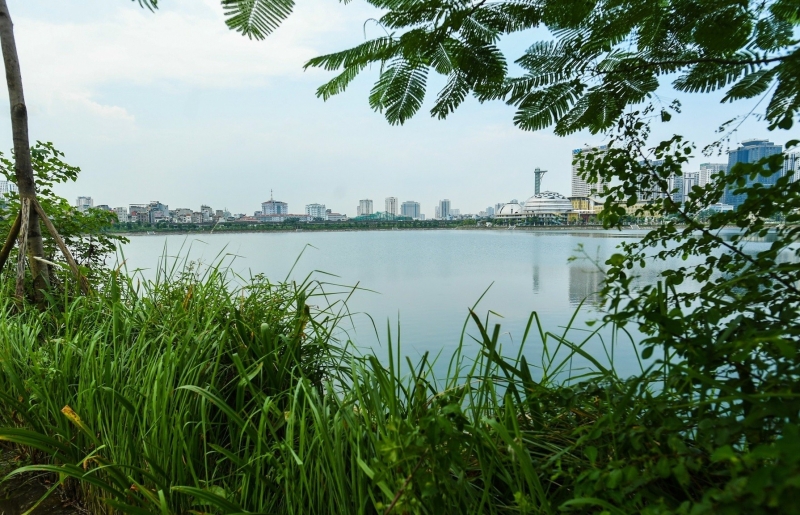 Hà Nội: Công viên hồ điều hòa Cầu Giấy 744 tỷ vắng vẻ, cỏ mọc cao hàng mét