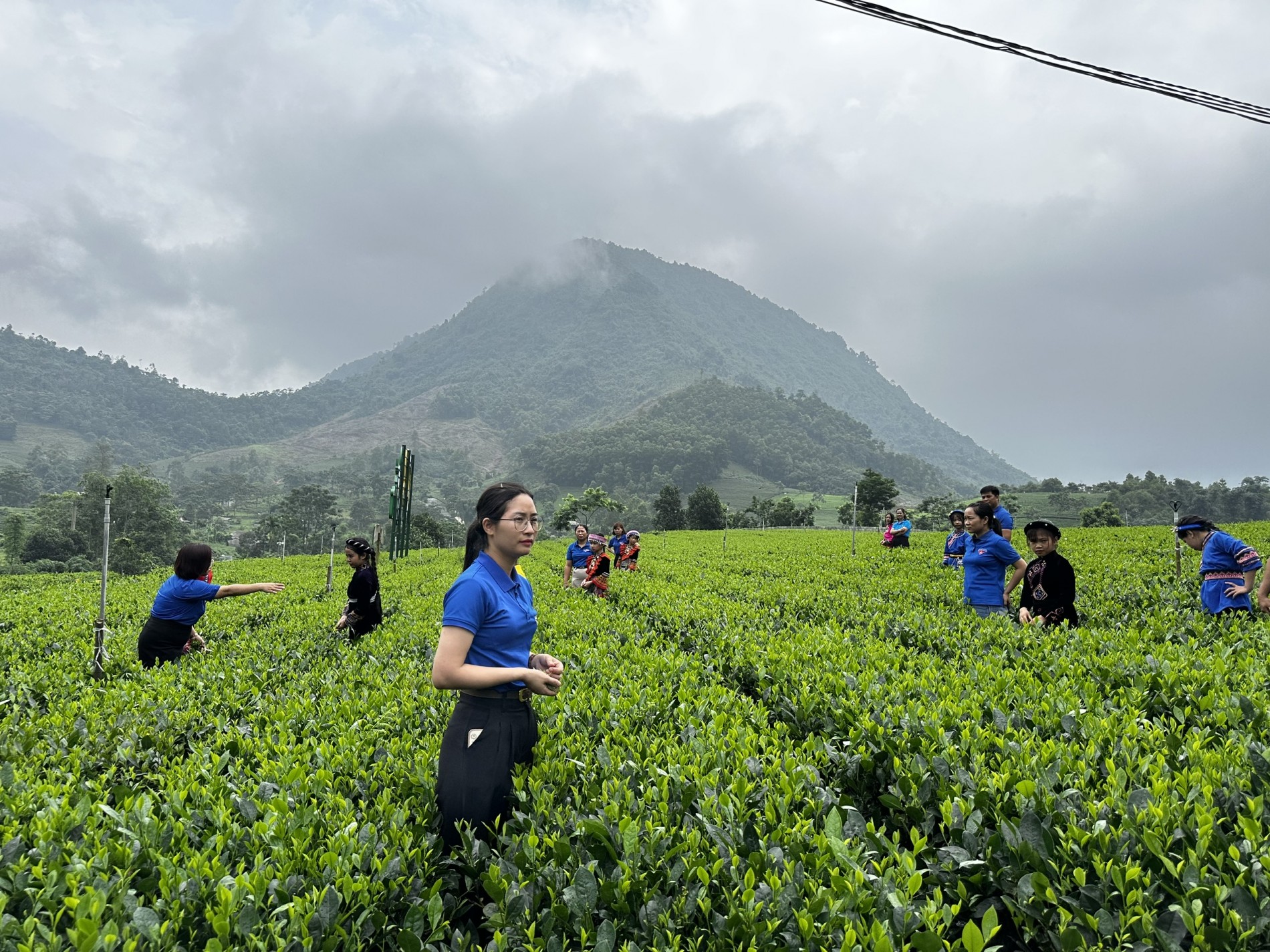 Tin Khuyến nông: Ứng dụng khoa học, công nghệ và hữu cơ sinh học - Hướng đi tất yếu của nông nghiệp Việt Nam trong kỷ nguyên xanh
