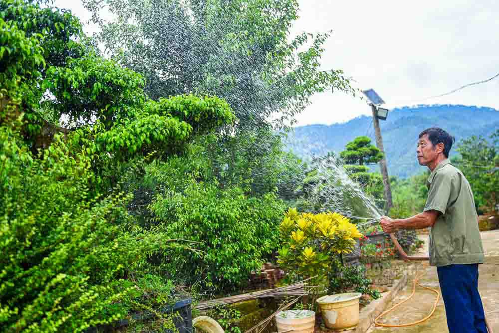 Làng hoa cây cảnh Mỹ Tân – Dấu ấn từ chuyển đổi mô hình nông nghiệp