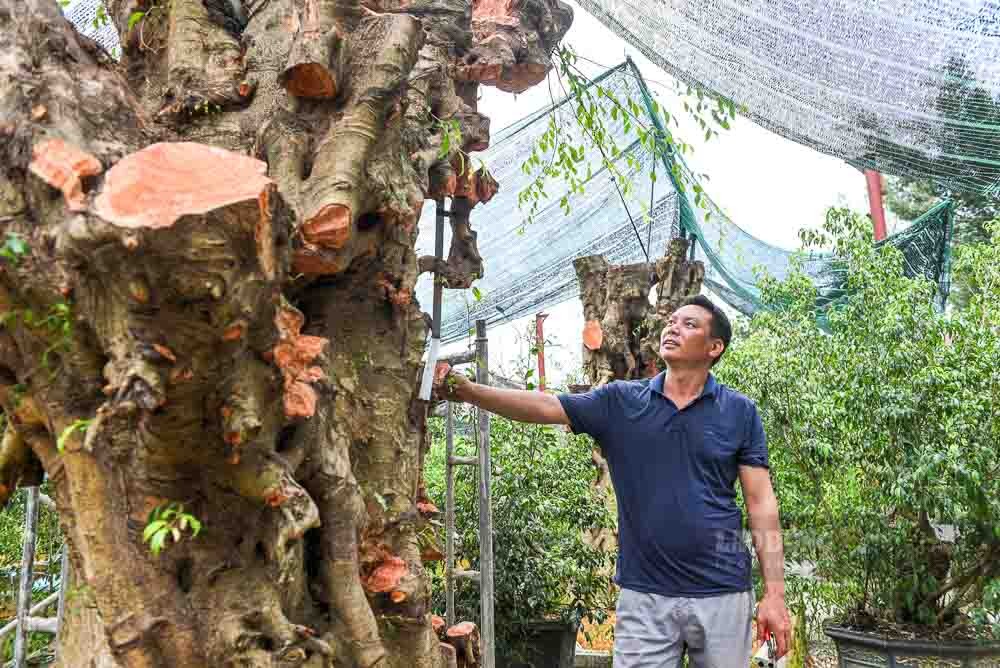 Làng hoa cây cảnh Mỹ Tân – Dấu ấn từ chuyển đổi mô hình nông nghiệp