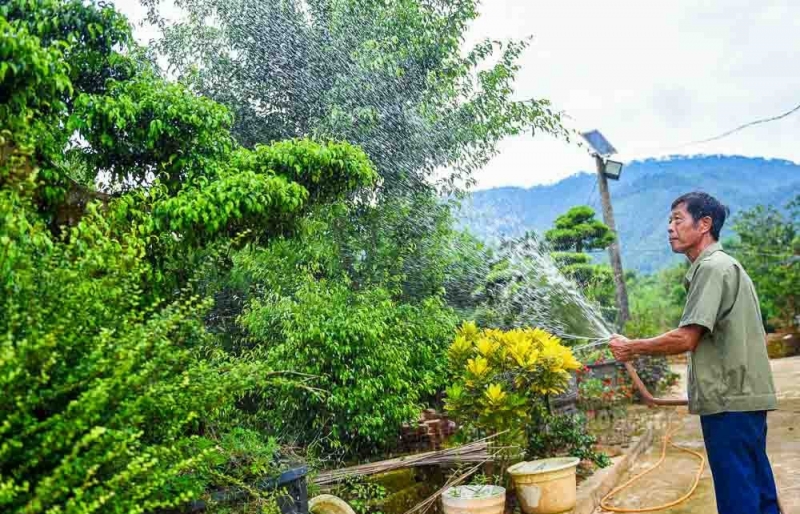Làng hoa cây cảnh Mỹ Tân – Dấu ấn từ chuyển đổi mô hình nông nghiệp