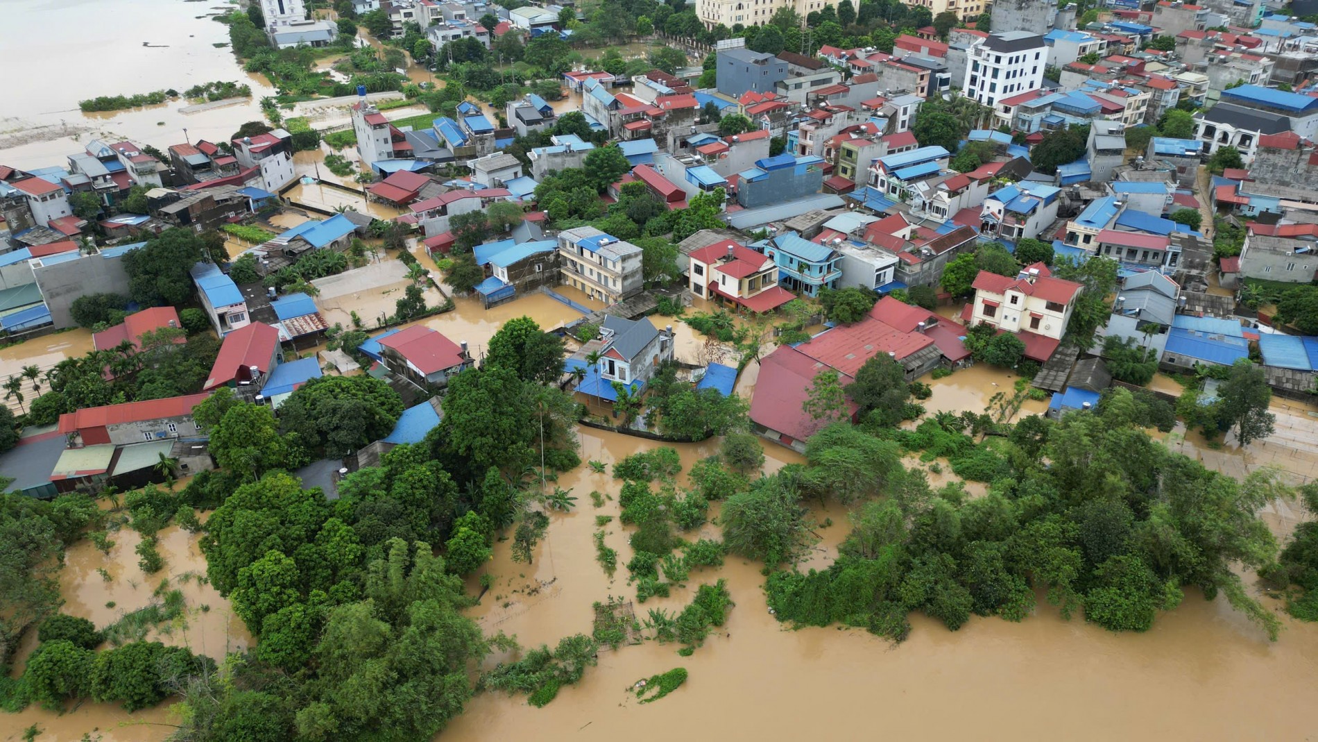 Hội Sinh vật cảnh Việt Nam kêu gọi ủng hộ đồng bào bị ảnh hưởng bởi bão lũ