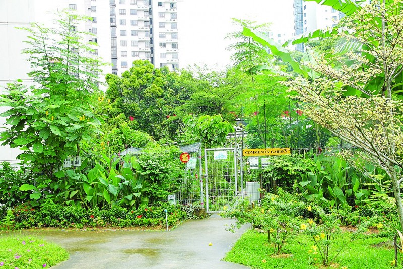 Mô hình vườn cộng đồng: giải pháp xanh cho đô thị Việt Nam