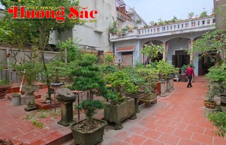 Thăm vườn cảnh đẹp của ba thế hệ gia đình cụ Kiều Huấn tại Sơn Tây, Hà Nội