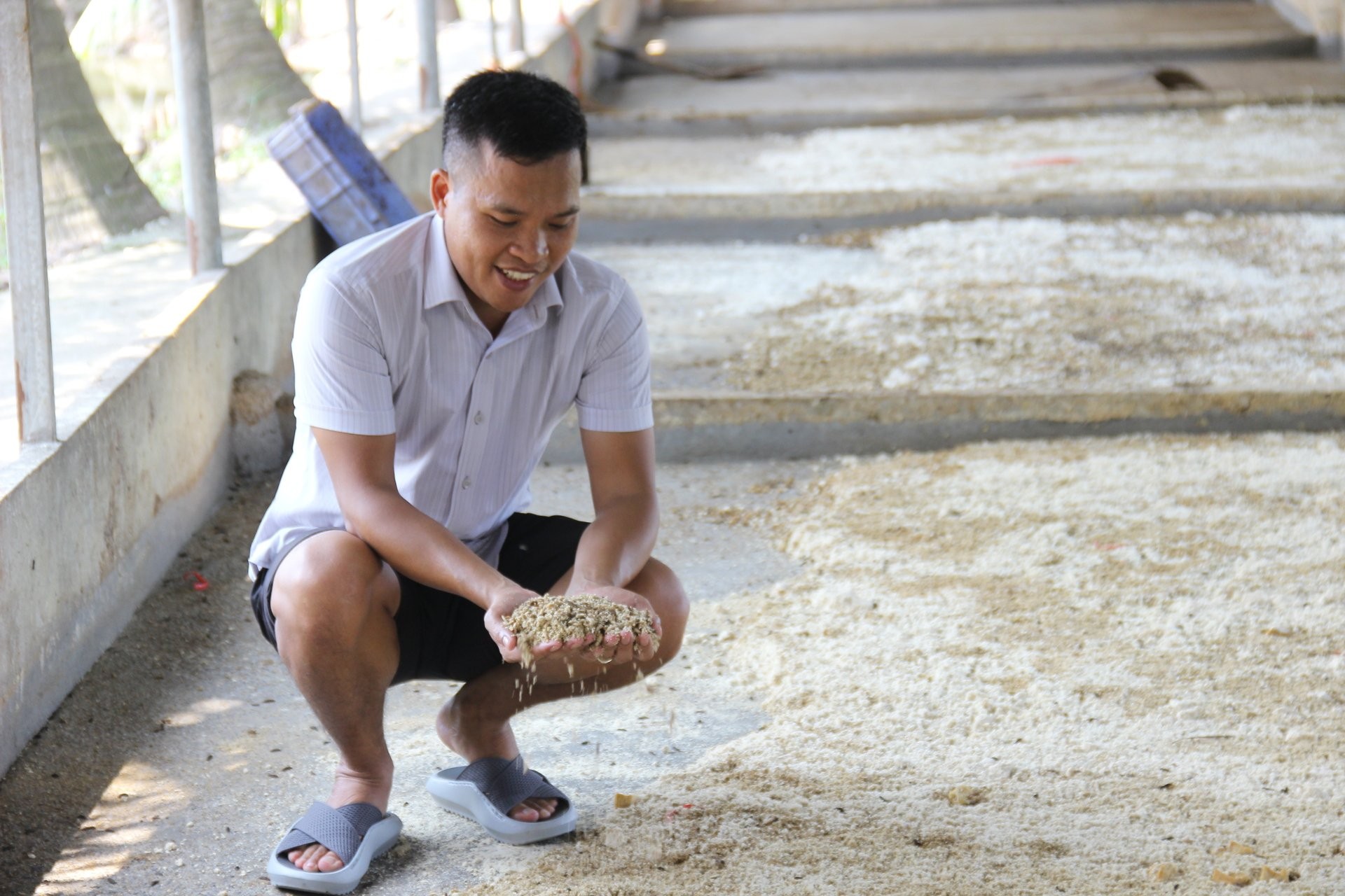 Nuôi cá Koi, gà chọi và sâu canxi, nông dân Hải Phòng thu 2 tỷ đồng mỗi năm