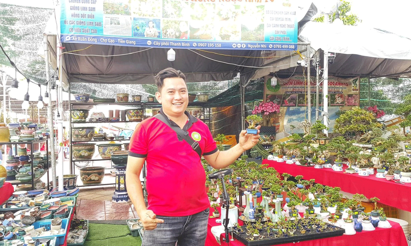 Tinh hoa thu nhỏ: Bonsai mini Đồng Tháp làm say lòng người yêu cây