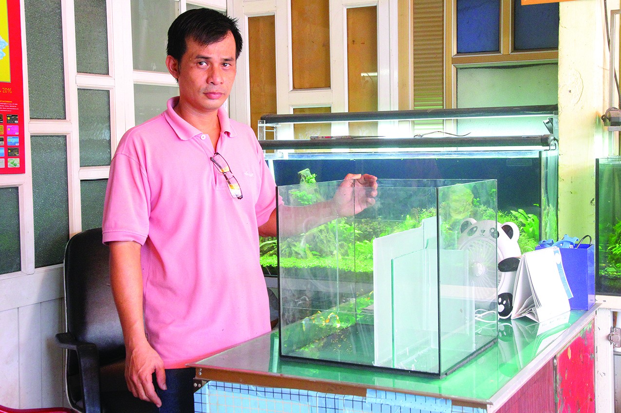 Một góc biển trong nhà