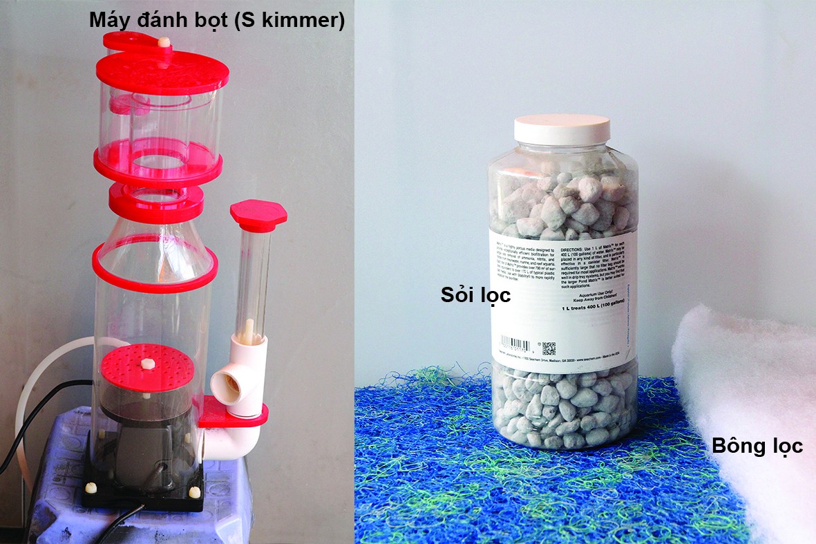 Một góc biển trong nhà
