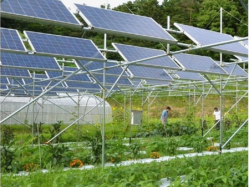 Điện mặt trời mái nhà – cơ hội vàng cho hội viên Sinh vật cảnh trong thời kỳ xanh hóa nông nghiệp