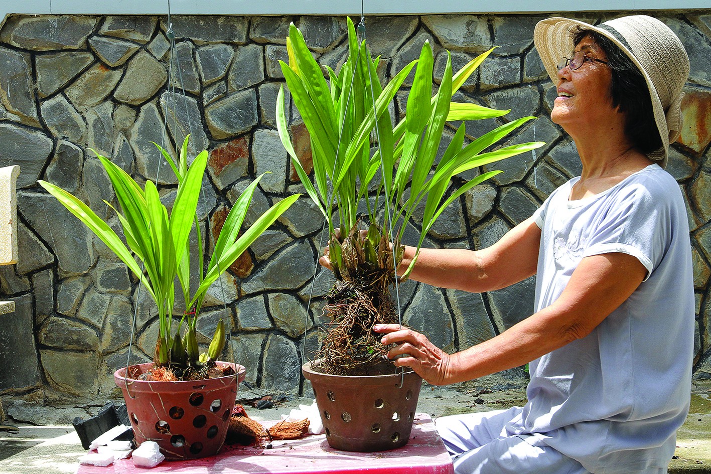 Kỹ thuật tách chiết lan rừng Kỹ thuật tách chiết lan rừng