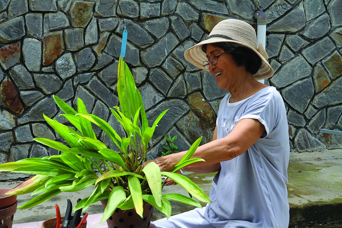 Kỹ thuật tách chiết lan rừng Kỹ thuật tách chiết lan rừng