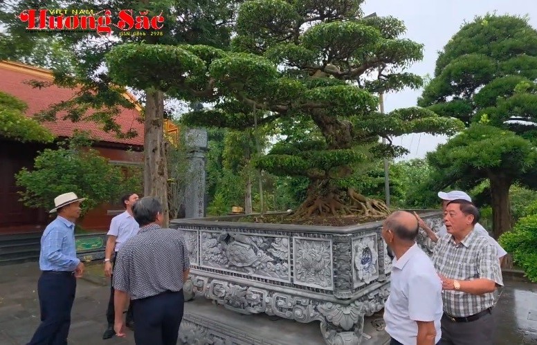 Hội SVC tỉnh Bắc Ninh thăm vườn cảnh Đặng Gia ở xã Phù Lãng