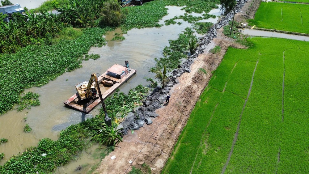 Nước lũ dâng cao, nhiều vườn cây vùng Đồng Tháp Mười có nguy cơ mất trắng