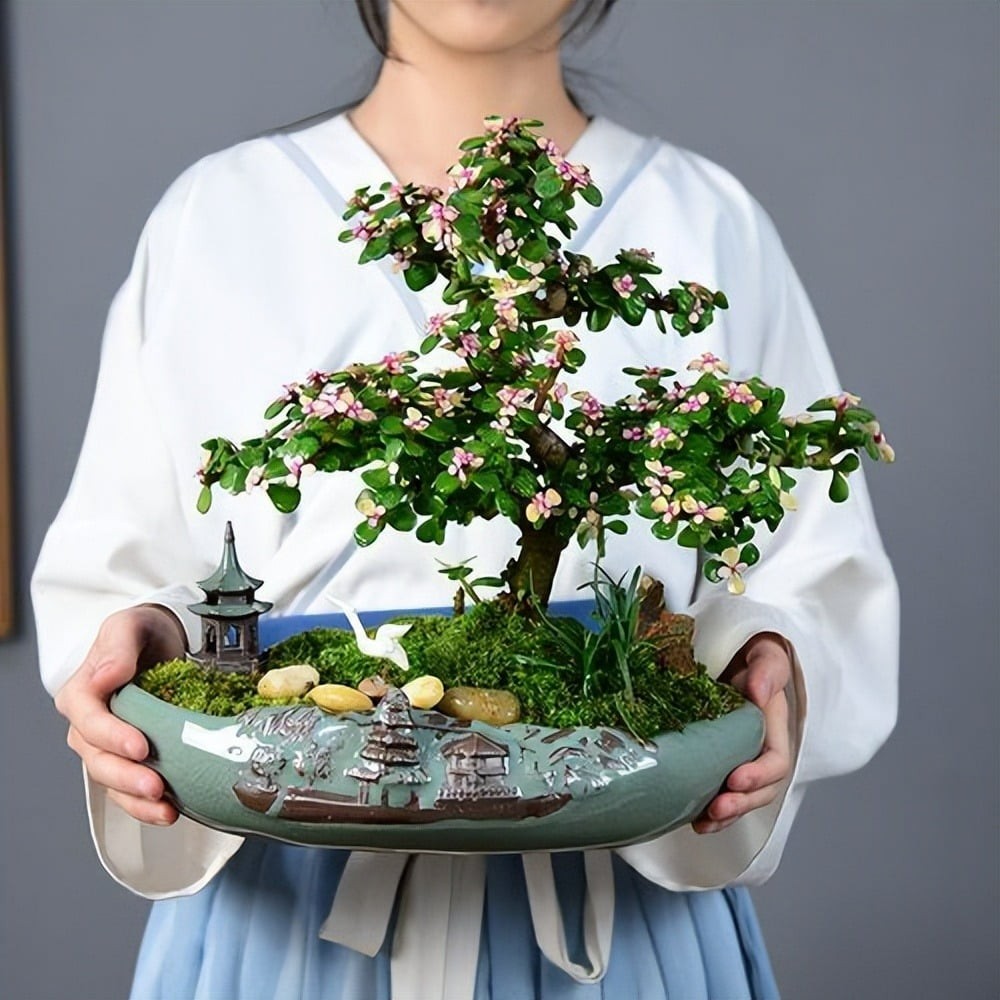 Trồng cây cảnh sai chỗ, mất lộc như chơi: 3 loại cây phong thủy giúp phòng khách sang trọng, tài lộc dồi dào