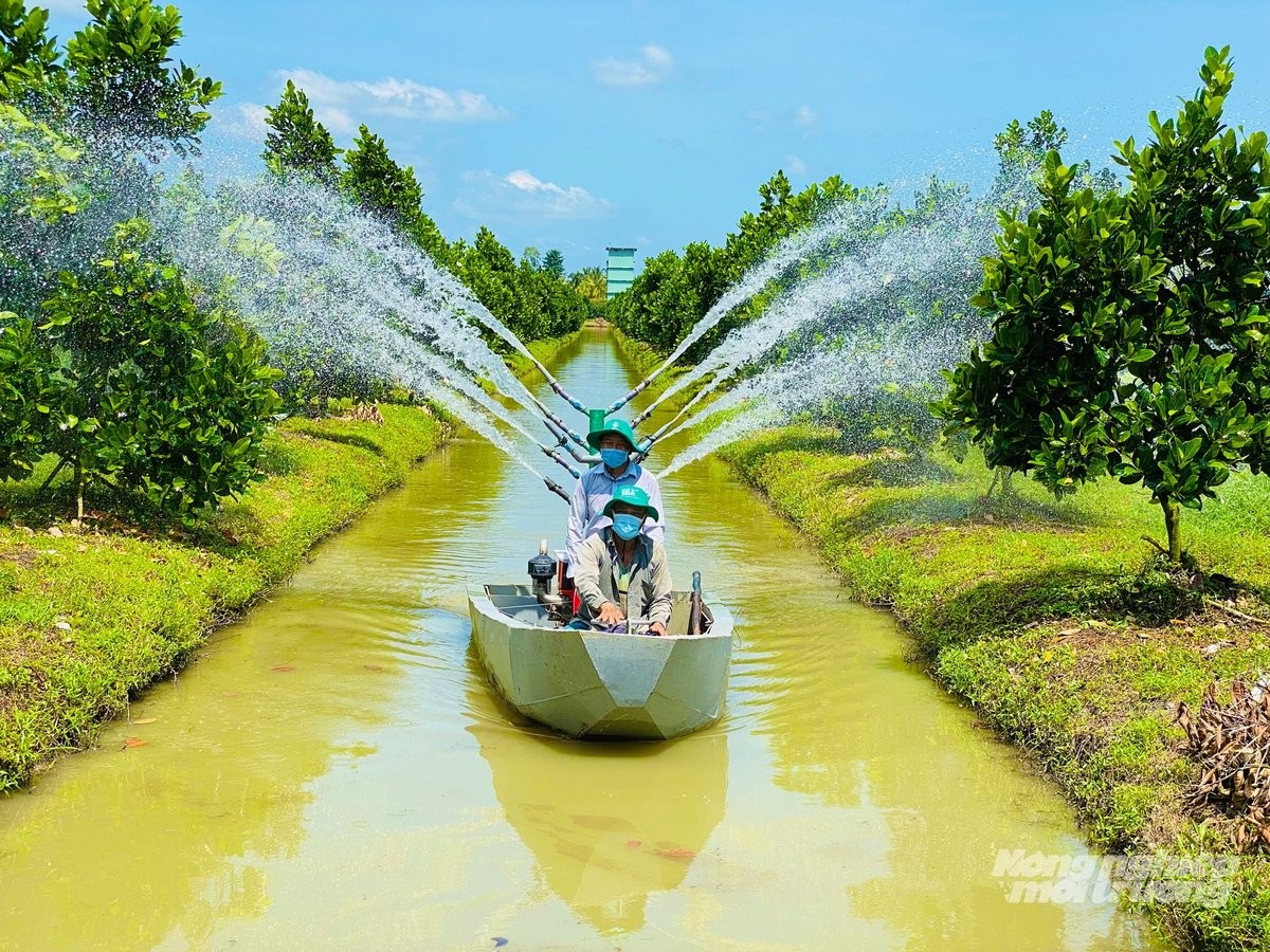 Đồng Tháp đẩy mạnh tái cơ cấu nông nghiệp, xây dựng vùng chuyên canh xuất khẩu