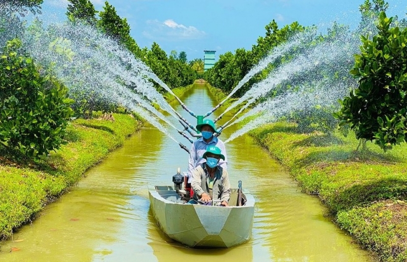 Đồng Tháp đẩy mạnh tái cơ cấu nông nghiệp, xây dựng vùng chuyên canh xuất khẩu