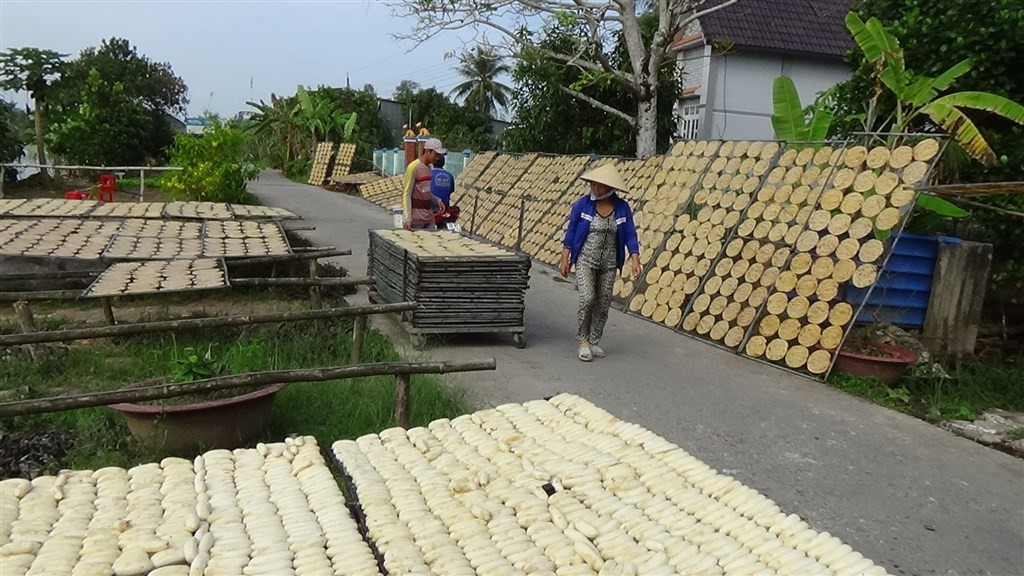 Làng nghề ép chuối khô  – nửa thế kỷ giữ vị ngọt miền đất mũi Cà Mau Làng nghề ép chuối khô  – nửa thế kỷ giữ vị ngọt miền đất mũi Cà Mau