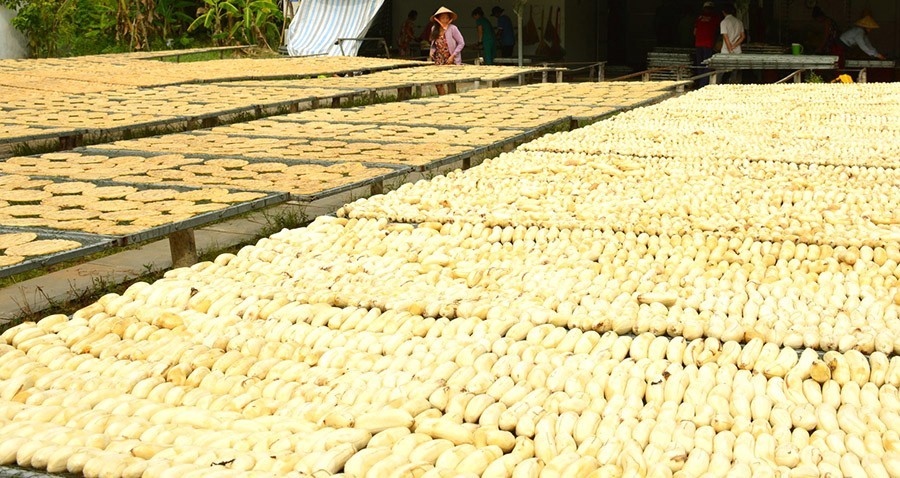 Làng nghề ép chuối khô  – nửa thế kỷ giữ vị ngọt miền đất mũi Cà Mau Làng nghề ép chuối khô  – nửa thế kỷ giữ vị ngọt miền đất mũi Cà Mau