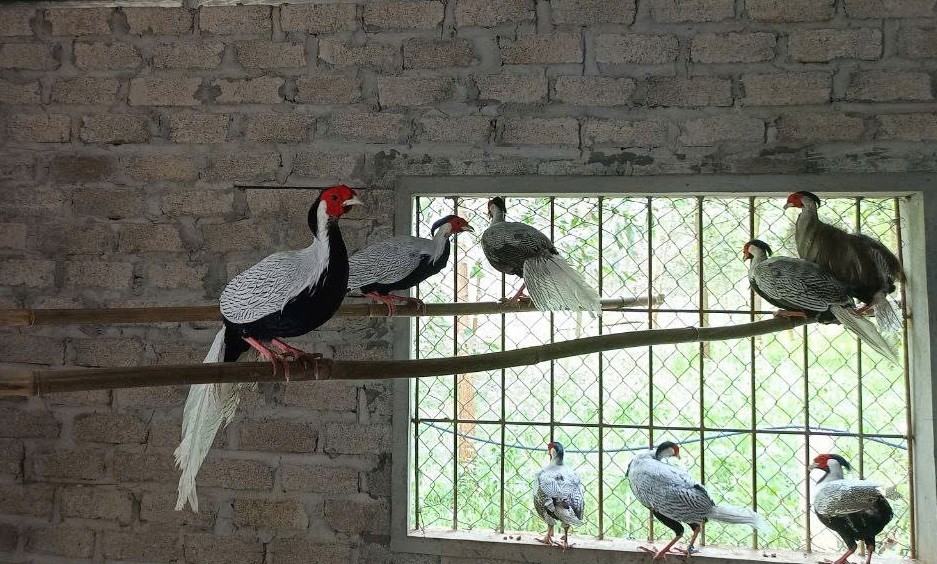 Miễn trách nhiệm hình sự cho bị cáo Thái Khắc Thành trong vụ án 