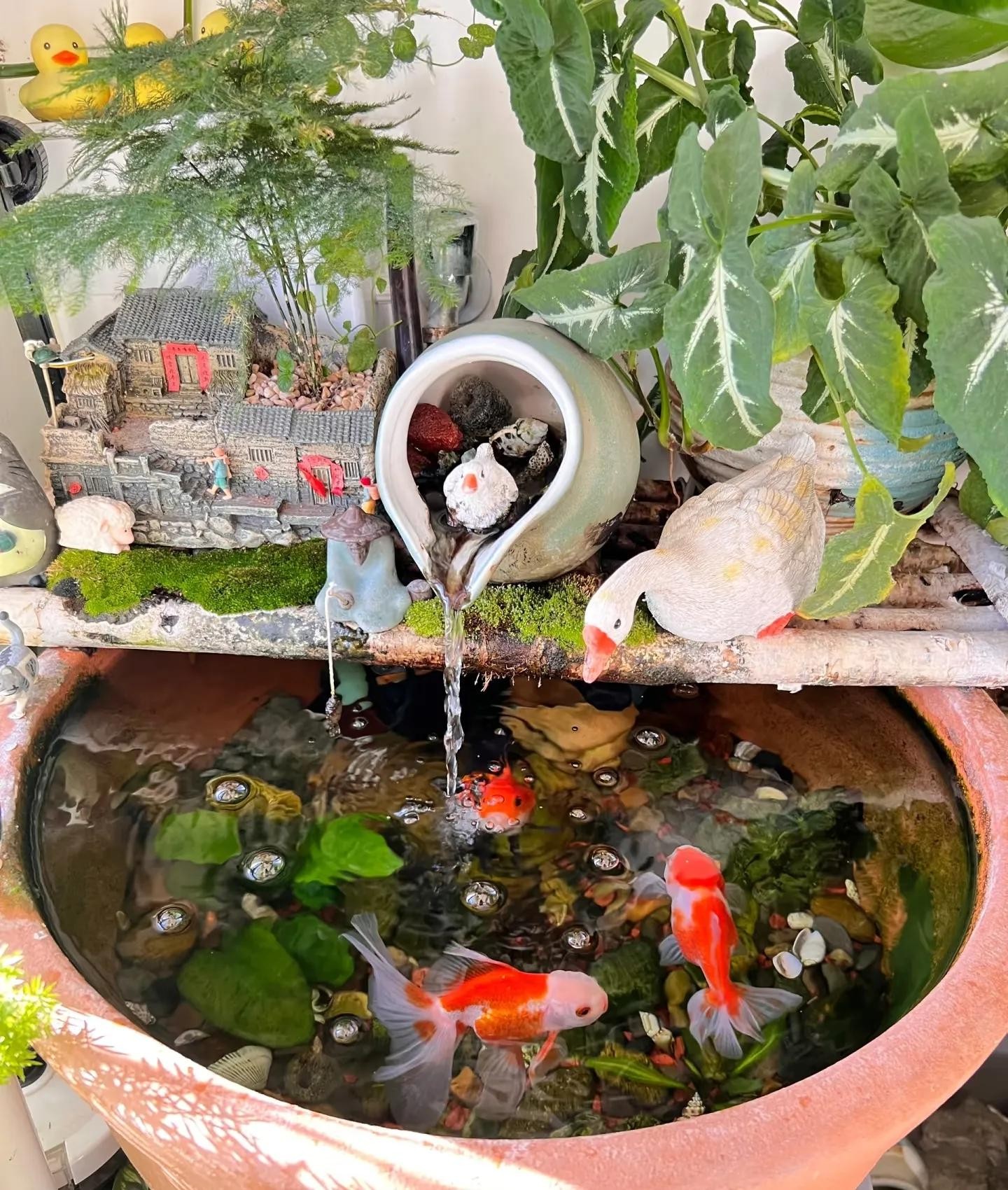 Biến ban công 4m² thành khu vườn mini như resort: Bí quyết sắp xếp và chọn cây thông minh