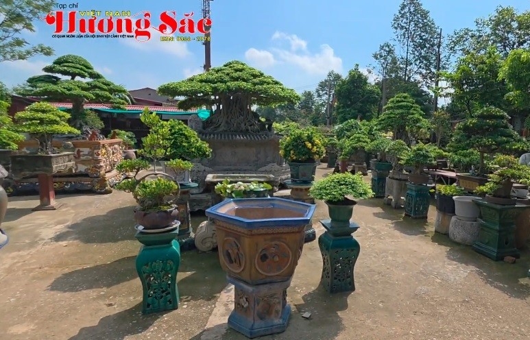 Thăm vườn cảnh đặc biệt Lộc Phú Quý ở phường Vũ Ninh, tỉnh Bắc Ninh