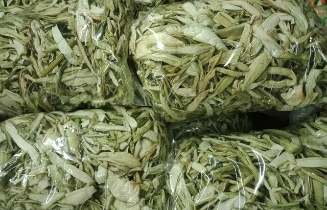 Từ rau dại thành đặc sản nửa triệu/kg, 3 tháng đã hái, bán đắt gấp 10 lần rau thường