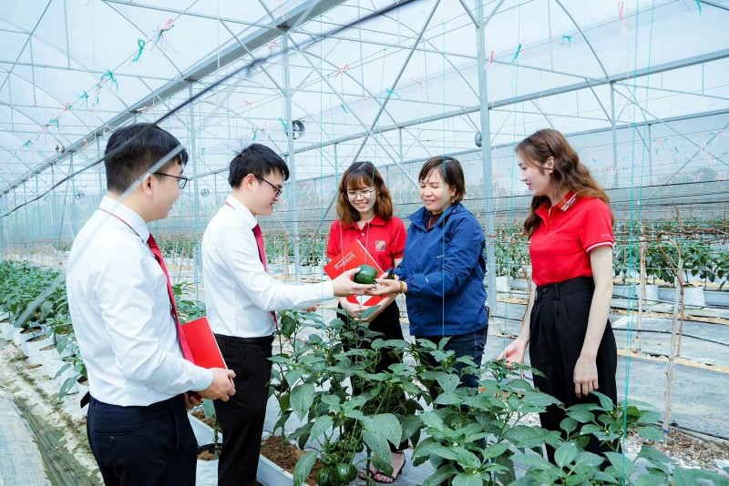 Triển khai Thông tư 60/2025/TT-BNNMT: Kiện toàn hệ thống khuyến nông gắn với chính quyền cơ sở