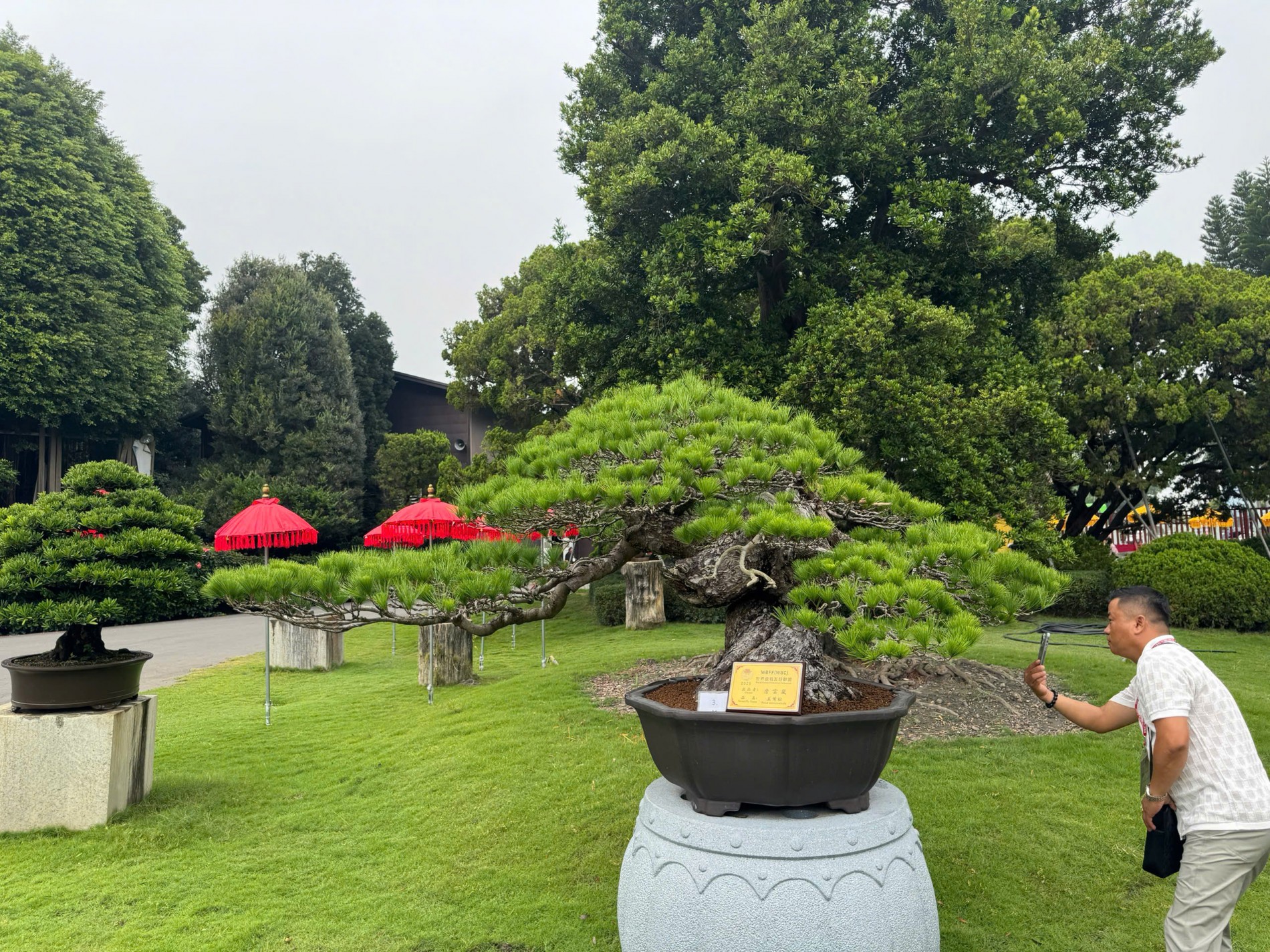 Đoàn Sinh vật cảnh Việt Nam tham dự Triển lãm Bonsai WBFF 2025 tại Đài Loan (Trung Quốc)