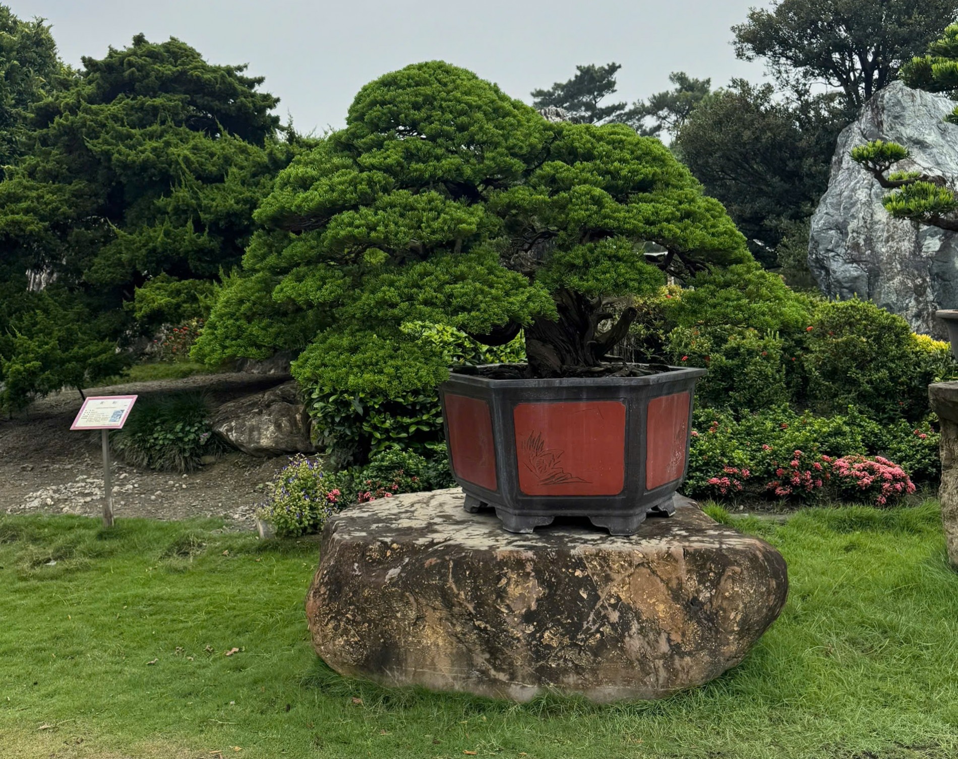 Đoàn Sinh vật cảnh Việt Nam tham dự Triển lãm Bonsai WBFF 2025 tại Đài Loan (Trung Quốc)